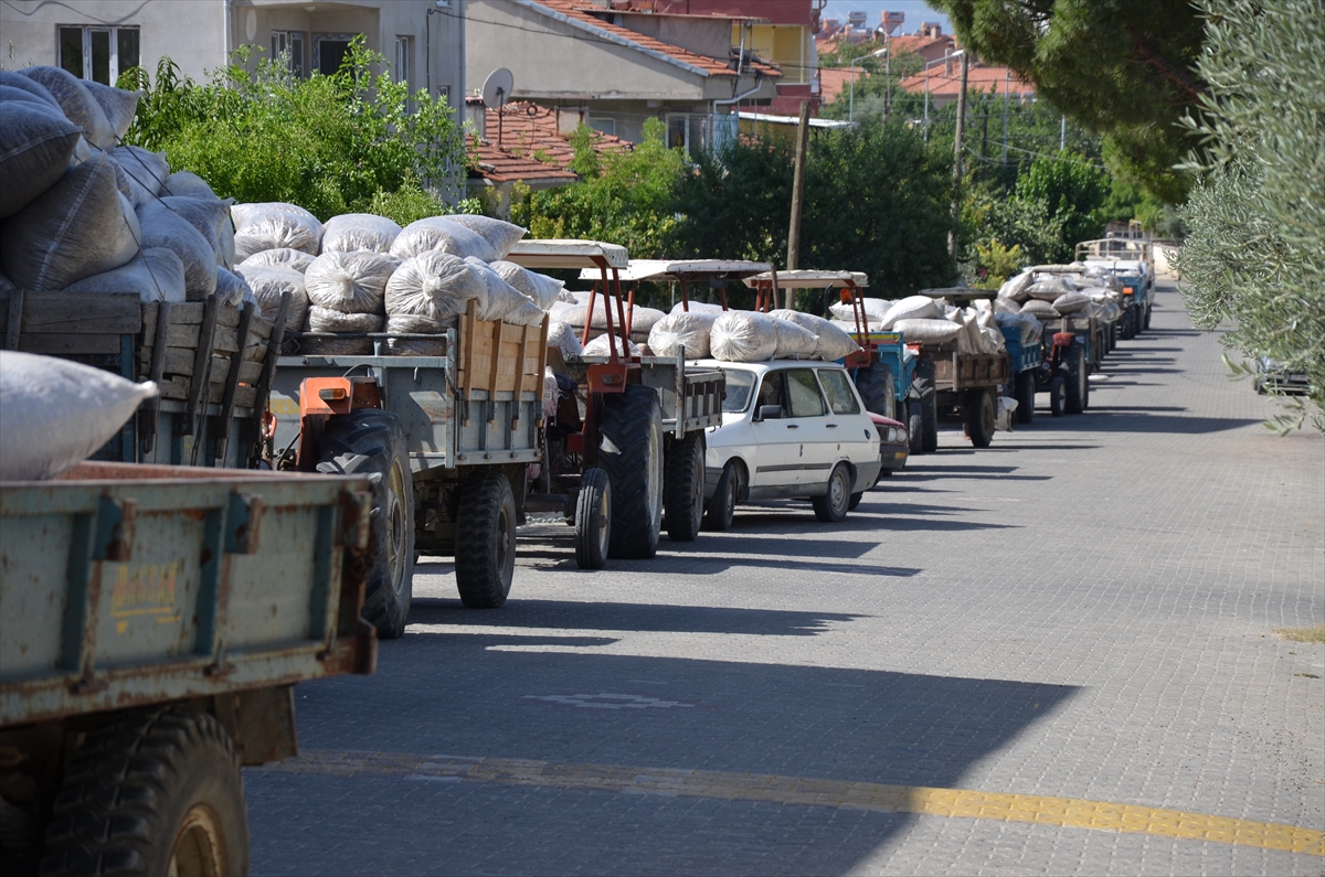 Manisalı haşhaş üreticisi fiyattan memnun 5 manisali hashas ureticisi fiyattan memnun 5 TWIZH1z9