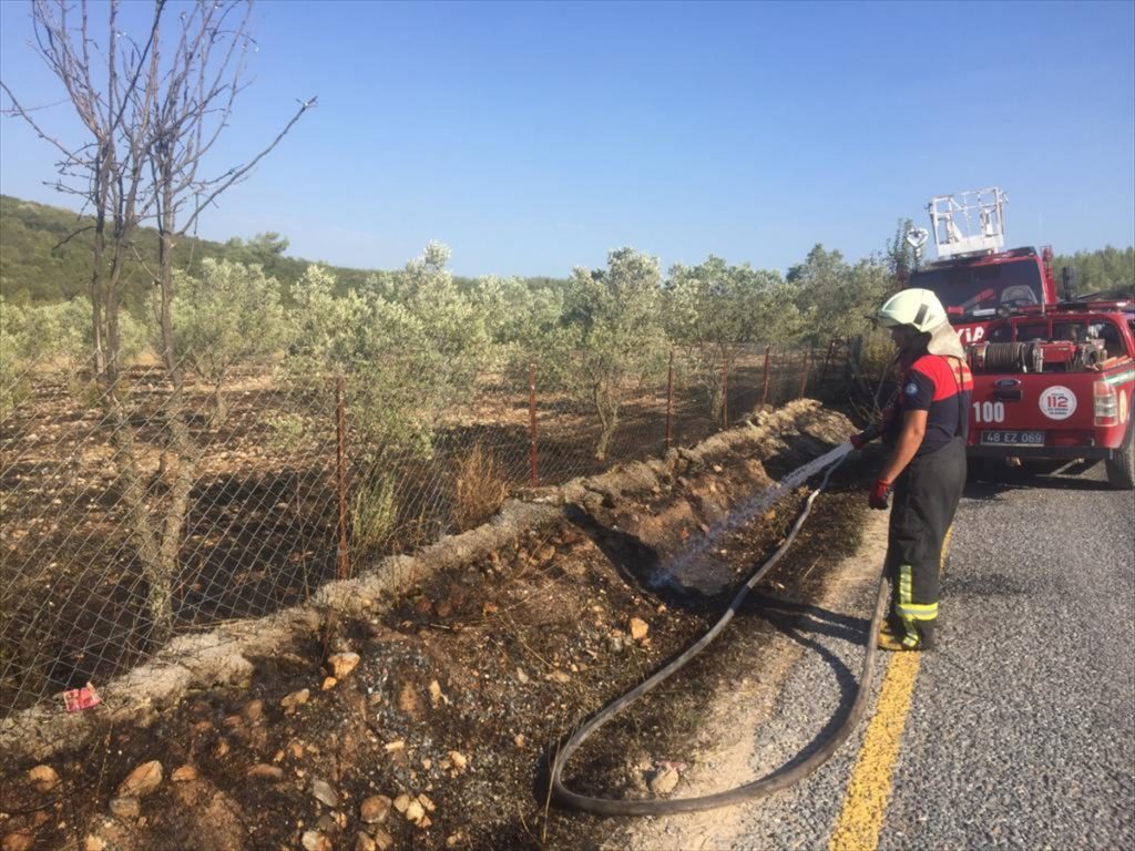 Muğla'da ot yangını 2 20200906 2 44227884 57949642 Web