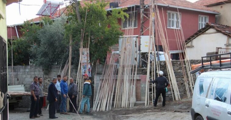 Aydın’da ’zeytin sırıkları’ teknolojiye karşı direniyor 1 aydinda zeytin siriklari teknolojiye karsi direniyor rbsmcZsa
